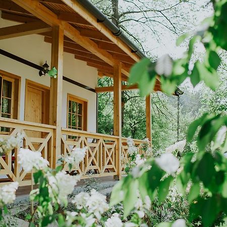 Cosama Village Сігішоара Екстер'єр фото