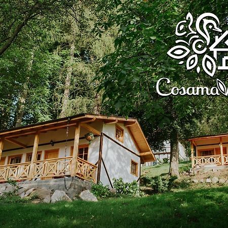 Cosama Village Сігішоара Екстер'єр фото