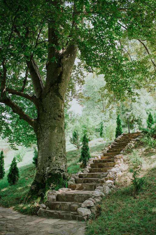 Cosama Village Сігішоара Екстер'єр фото
