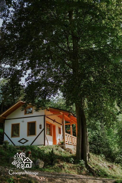 Cosama Village Сігішоара Екстер'єр фото